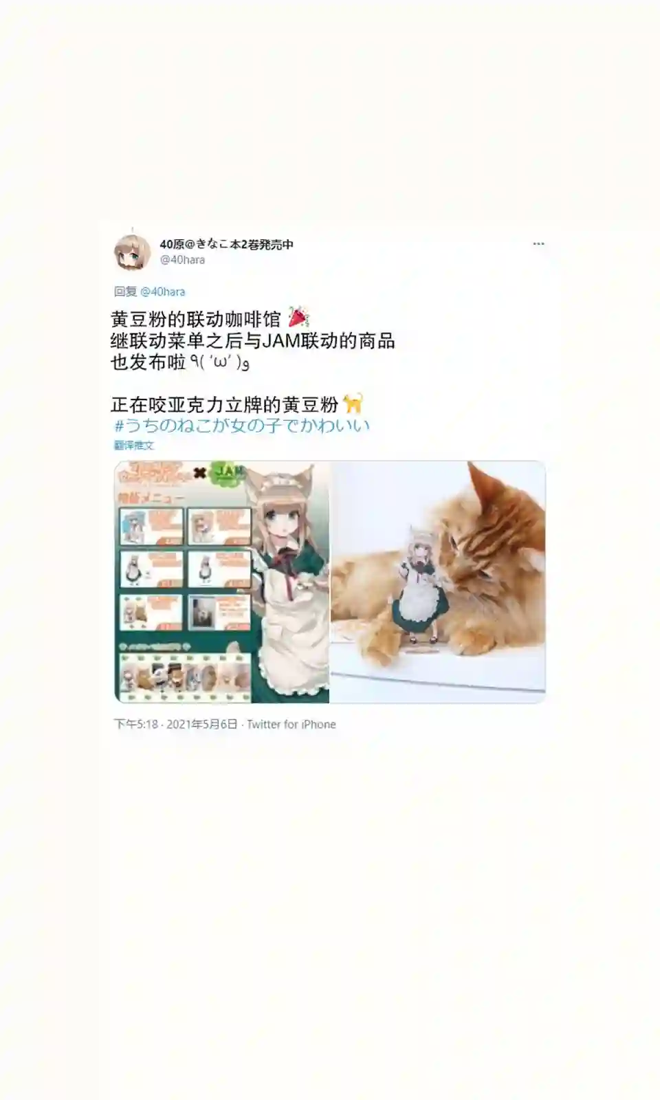 我家的猫猫是可爱的女孩子！杂图13