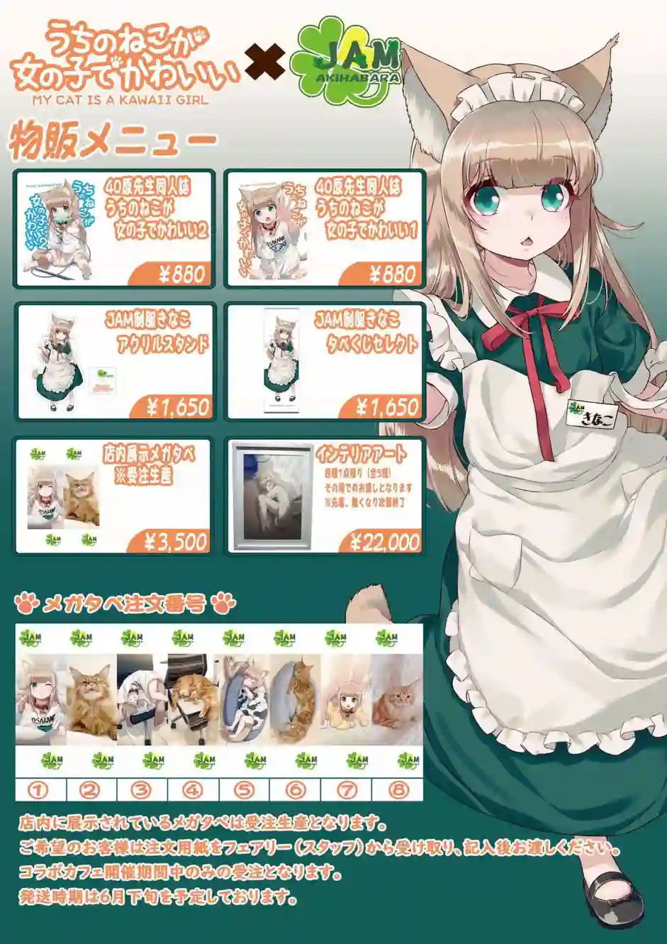 我家的猫猫是可爱的女孩子！杂图13