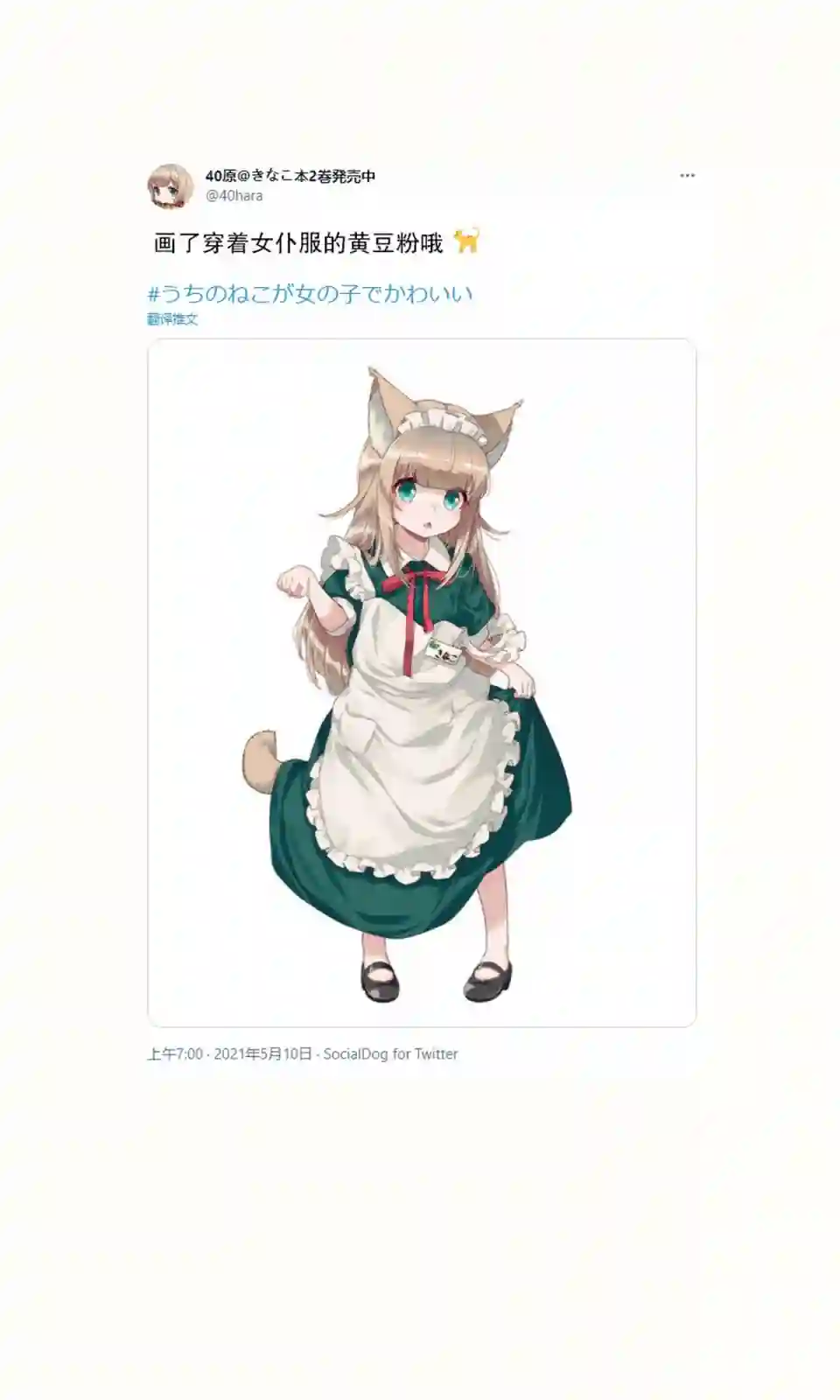 我家的猫猫是可爱的女孩子！杂图13