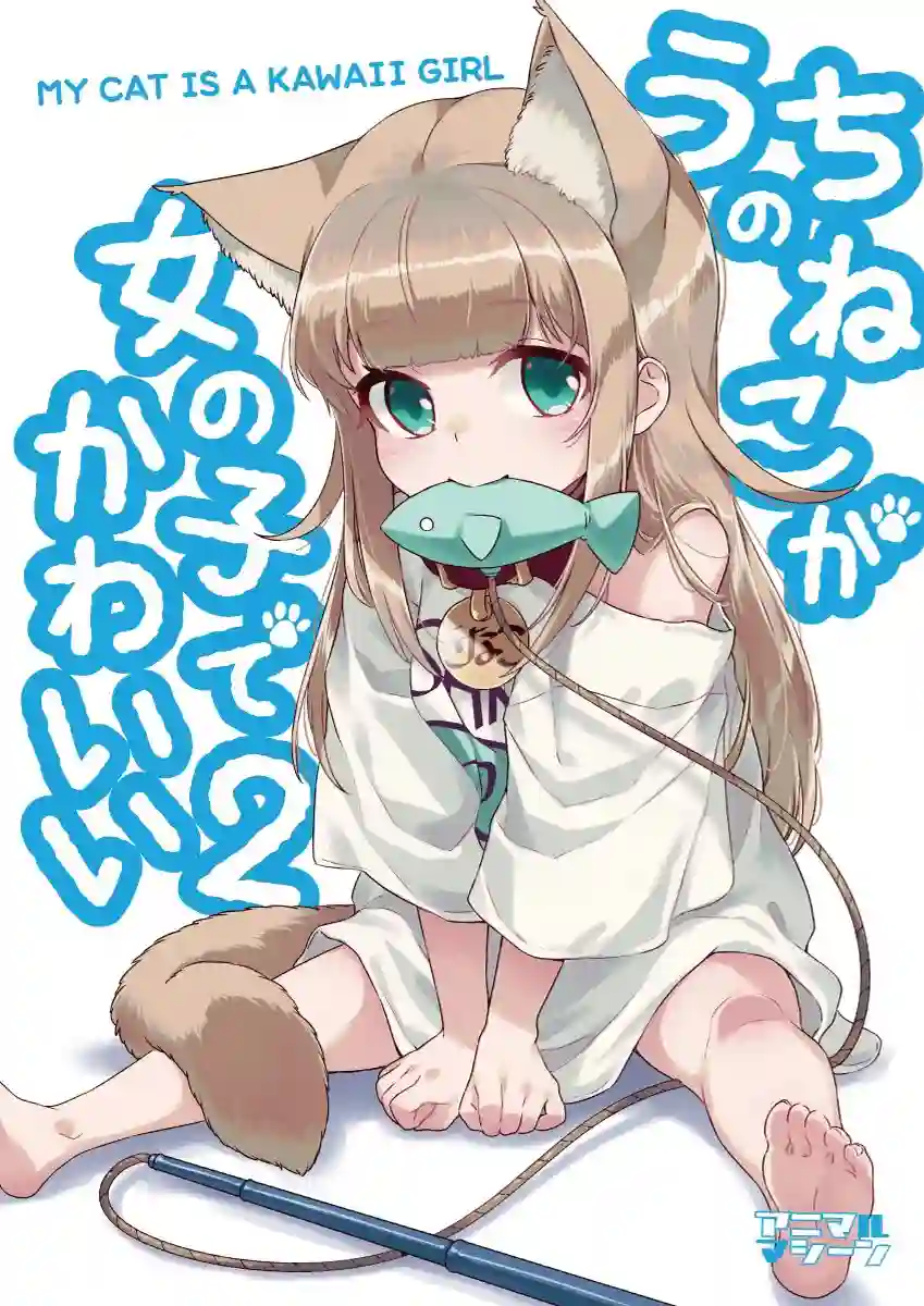 我家的猫猫是可爱的女孩子！杂图13