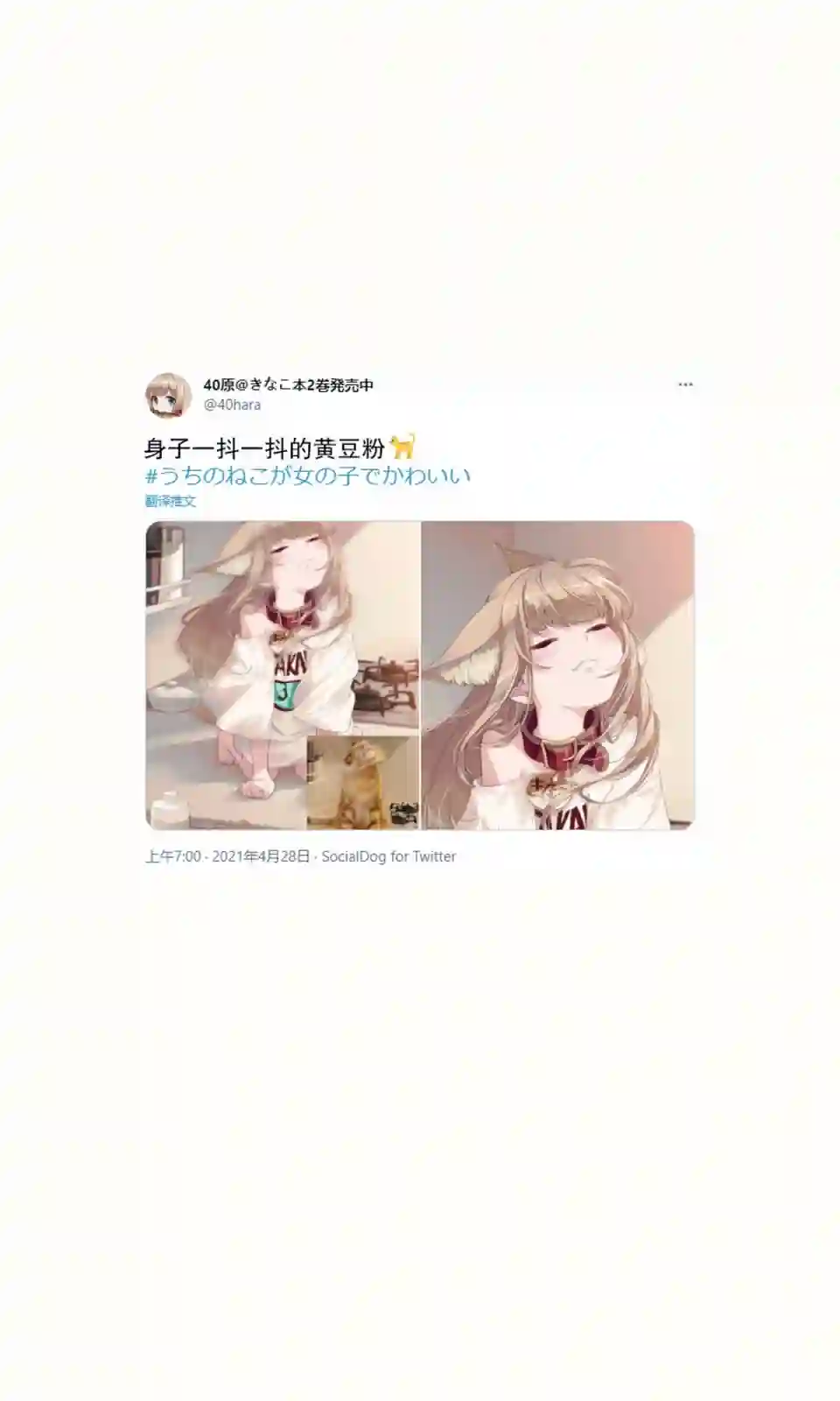 我家的猫猫是可爱的女孩子！杂图13