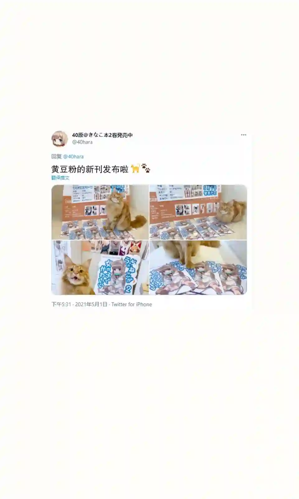 我家的猫猫是可爱的女孩子！杂图13