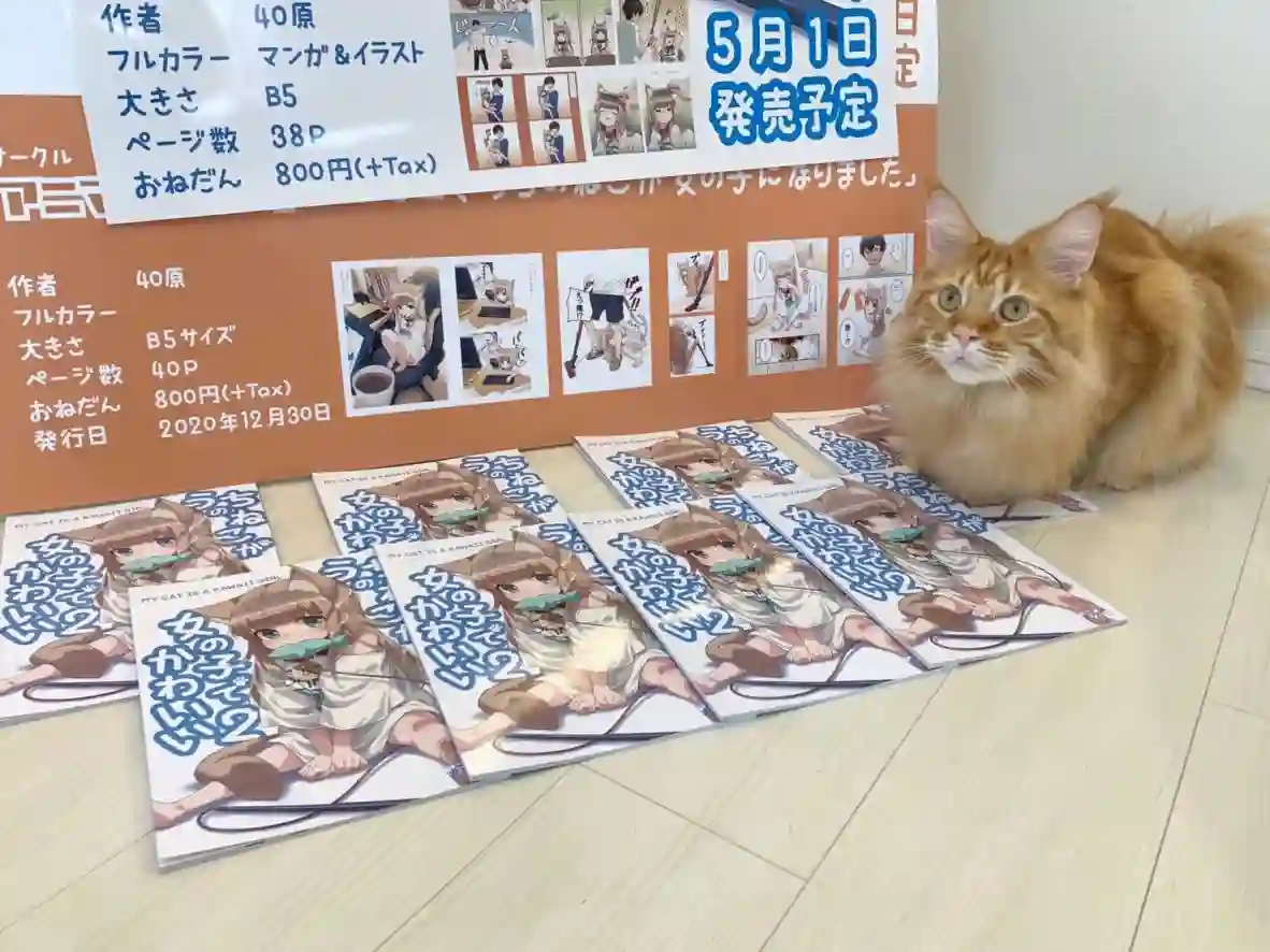 我家的猫猫是可爱的女孩子！杂图13