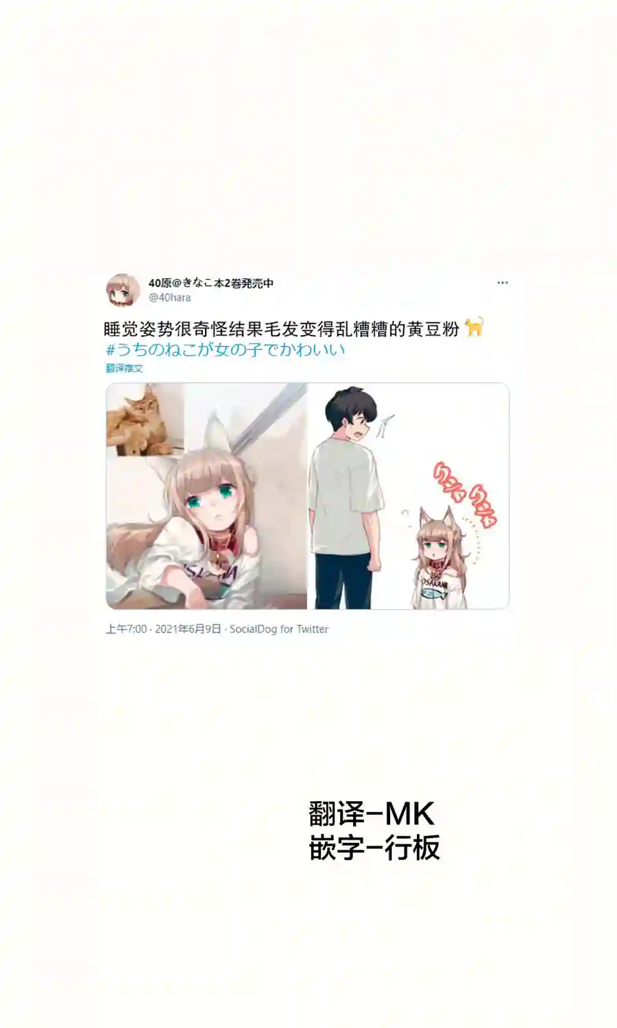 我家的猫猫是可爱的女孩子！杂图14