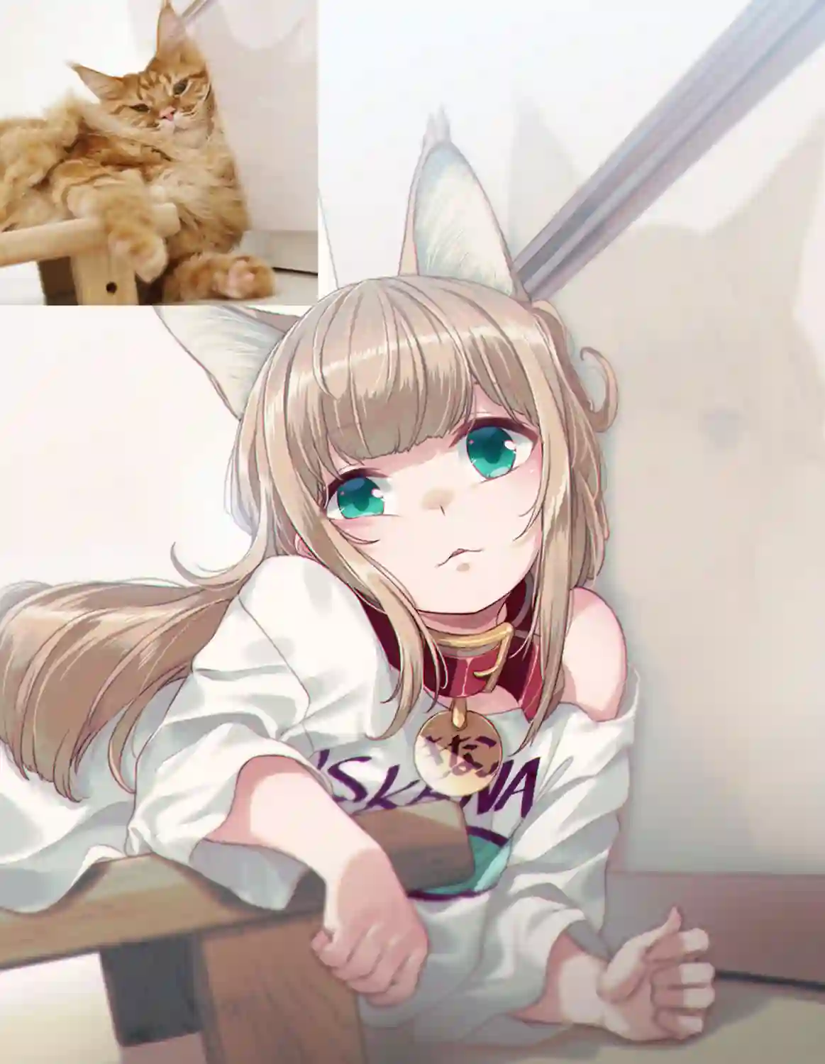 我家的猫猫是可爱的女孩子！杂图14