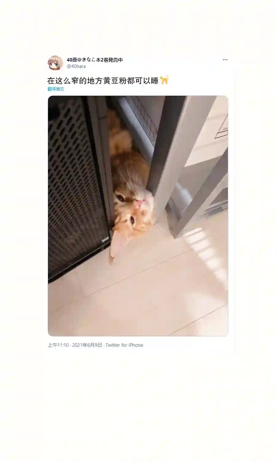 我家的猫猫是可爱的女孩子！杂图14