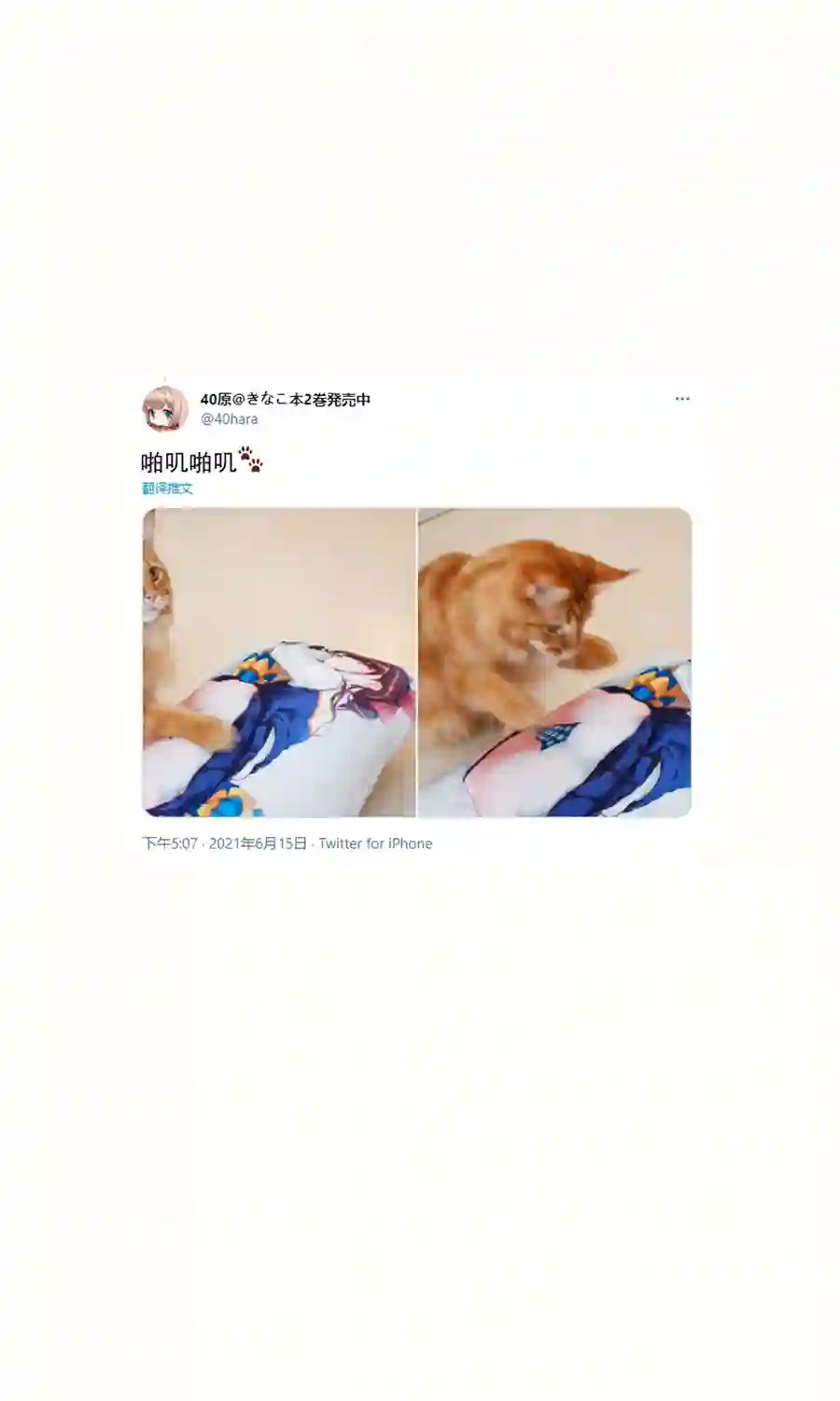 我家的猫猫是可爱的女孩子！杂图14
