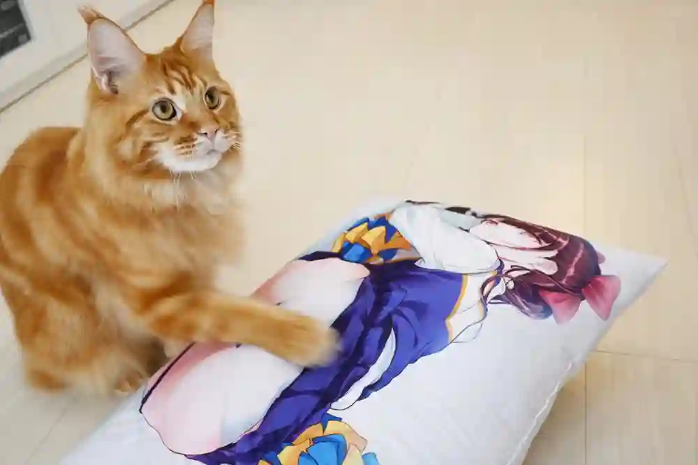 我家的猫猫是可爱的女孩子！杂图14