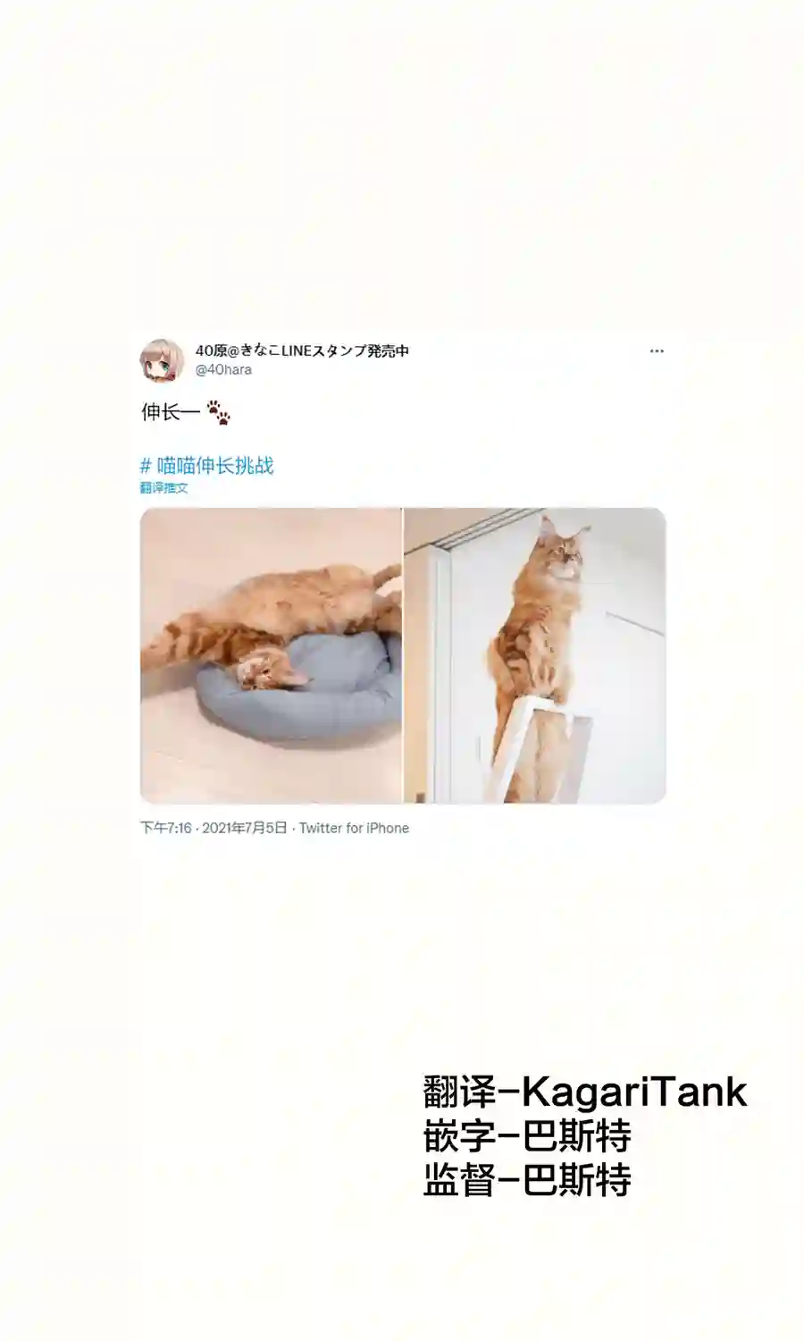 我家的猫猫是可爱的女孩子！第07话