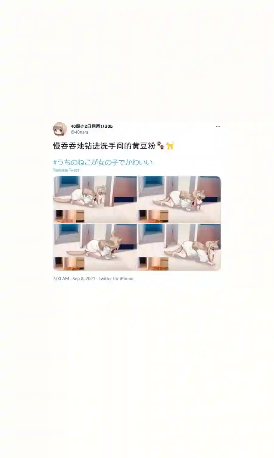 我家的猫猫是可爱的女孩子！杂图16