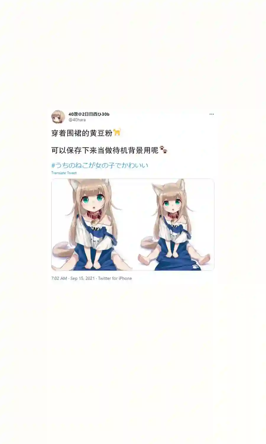 我家的猫猫是可爱的女孩子！杂图16