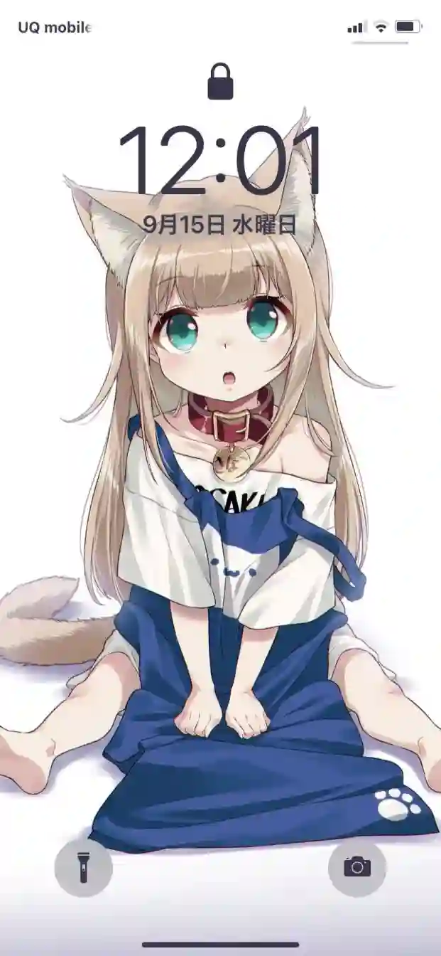 我家的猫猫是可爱的女孩子！杂图16