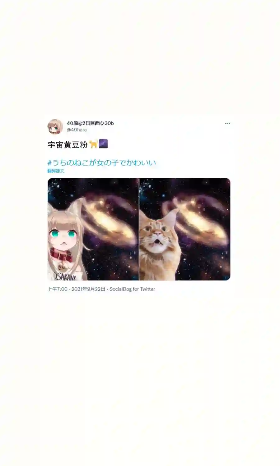 我家的猫猫是可爱的女孩子！杂图16