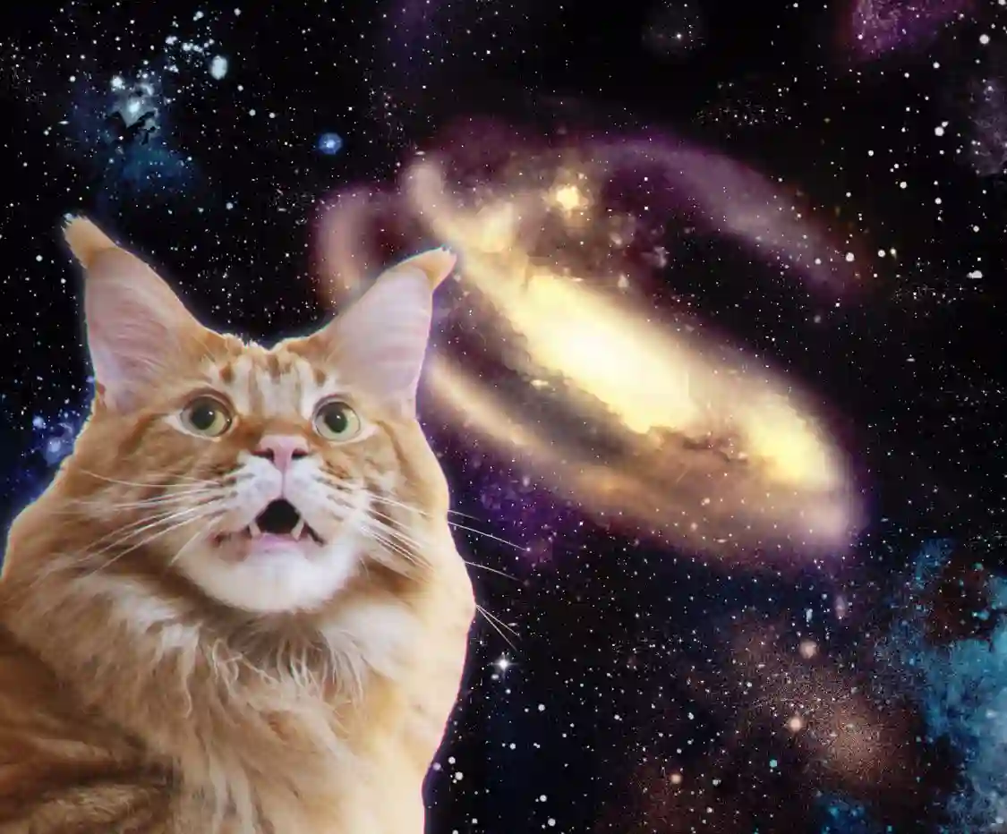 我家的猫猫是可爱的女孩子！杂图16