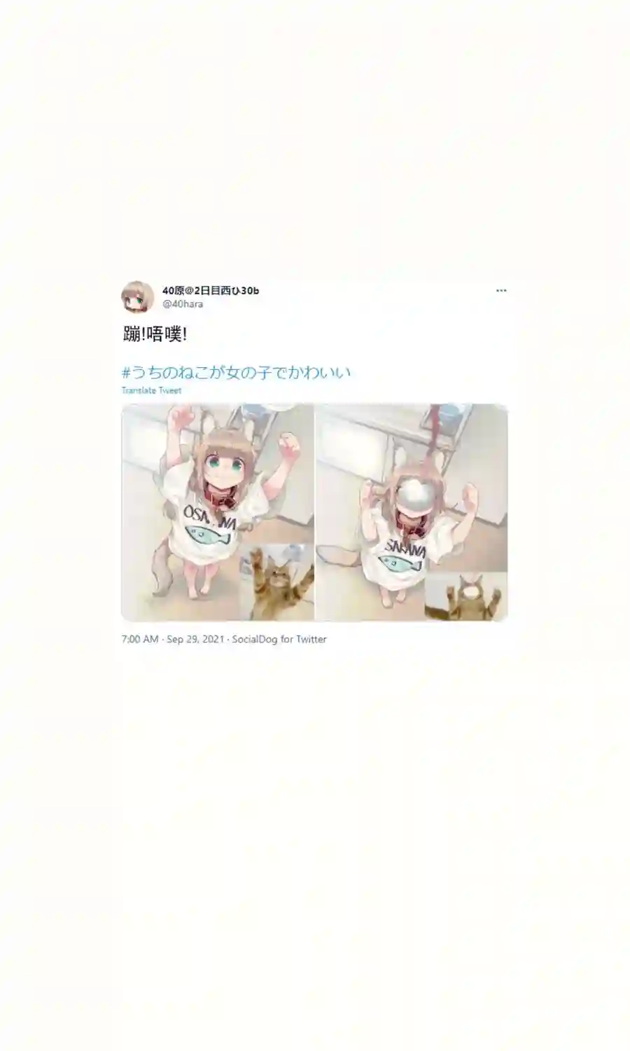 我家的猫猫是可爱的女孩子！杂图16