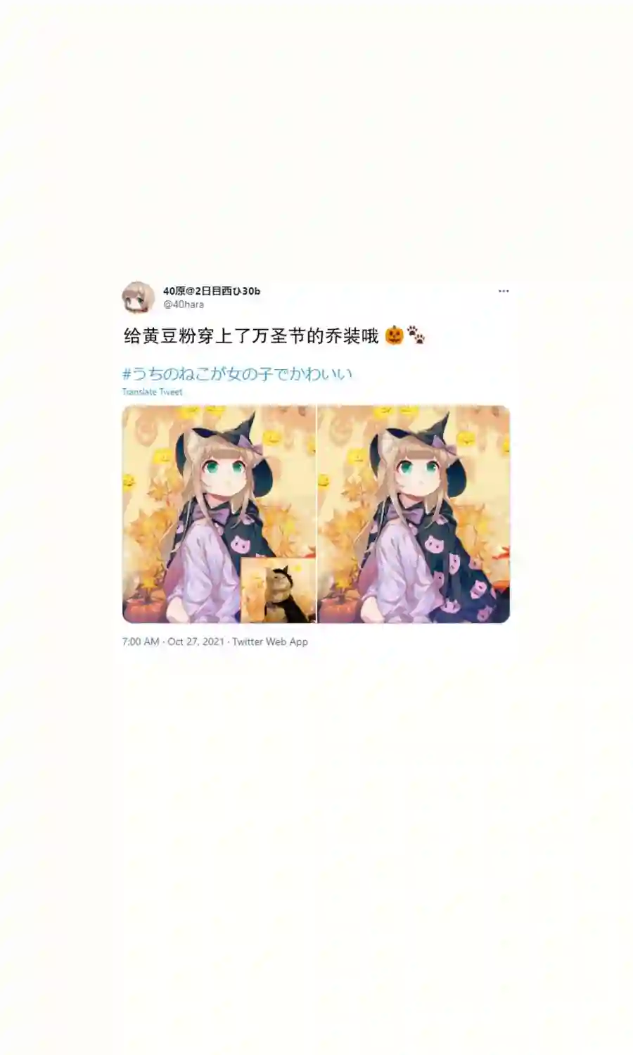 我家的猫猫是可爱的女孩子！杂图16