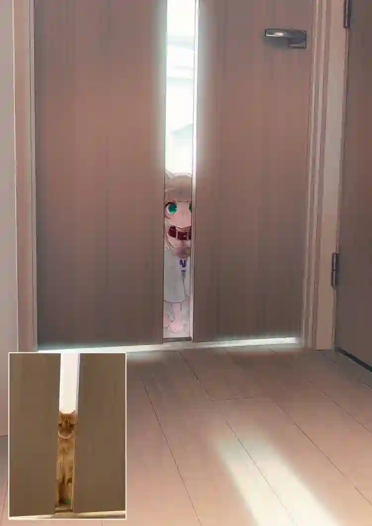 我家的猫猫是可爱的女孩子！杂图16