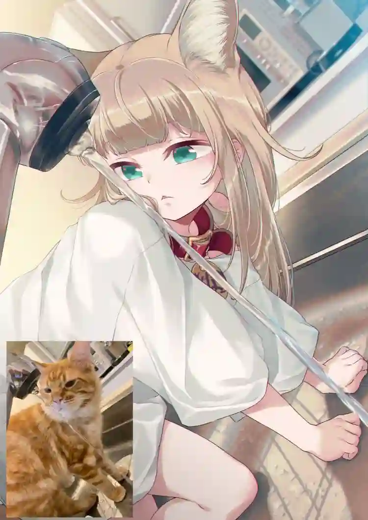 我家的猫猫是可爱的女孩子！杂图16