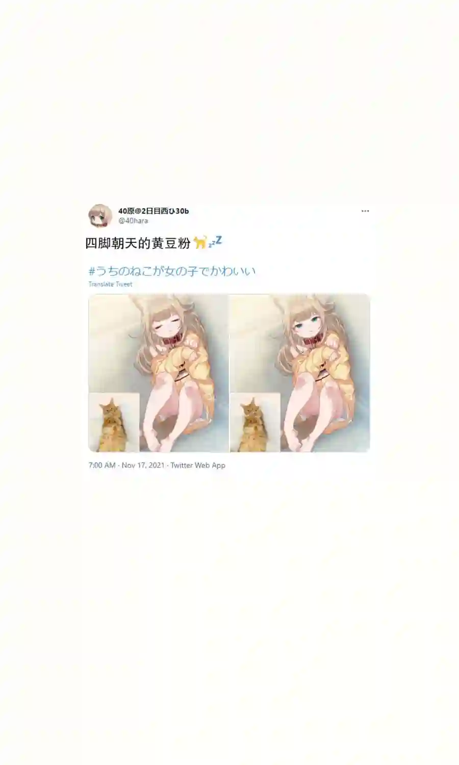 我家的猫猫是可爱的女孩子！杂图16