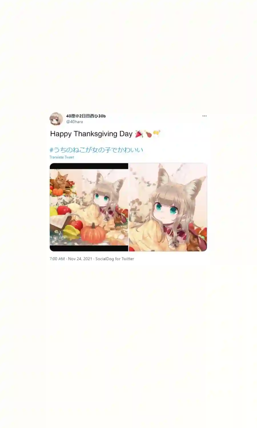 我家的猫猫是可爱的女孩子！杂图16