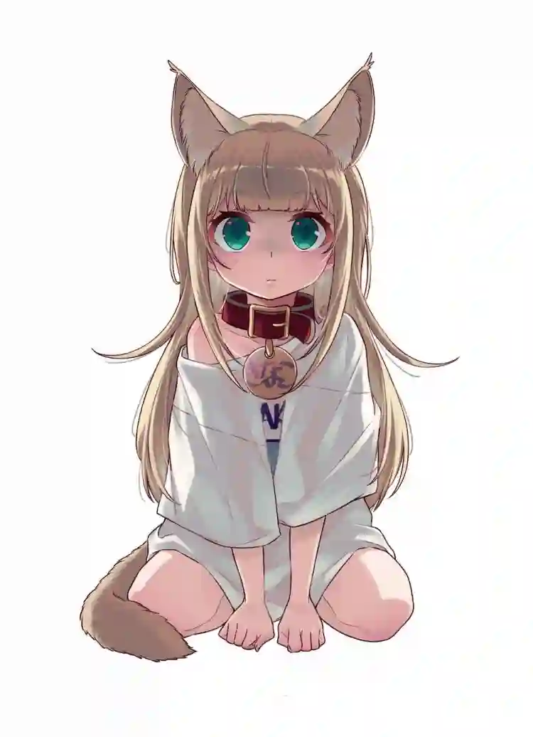 我家的猫猫是可爱的女孩子！杂图16