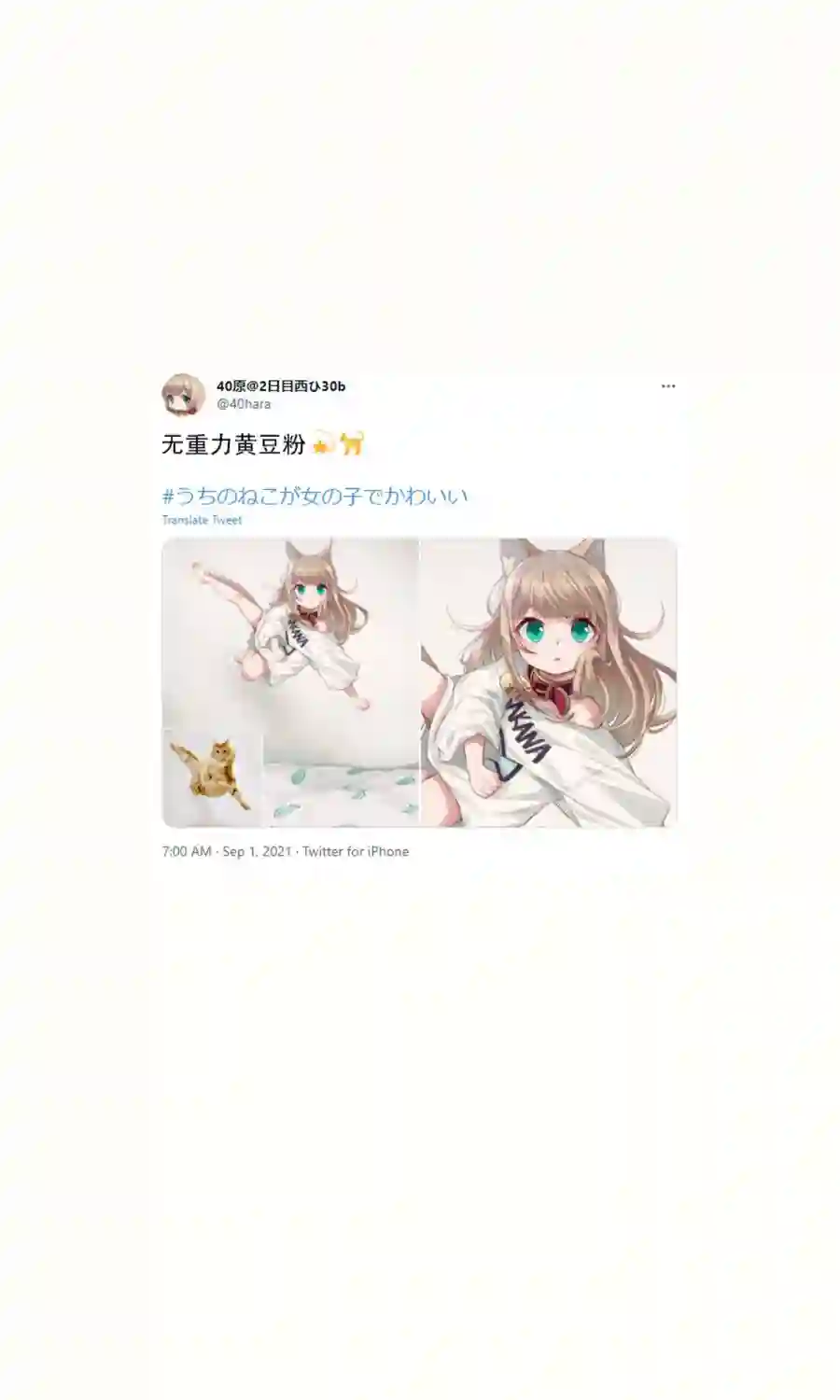 我家的猫猫是可爱的女孩子！杂图16