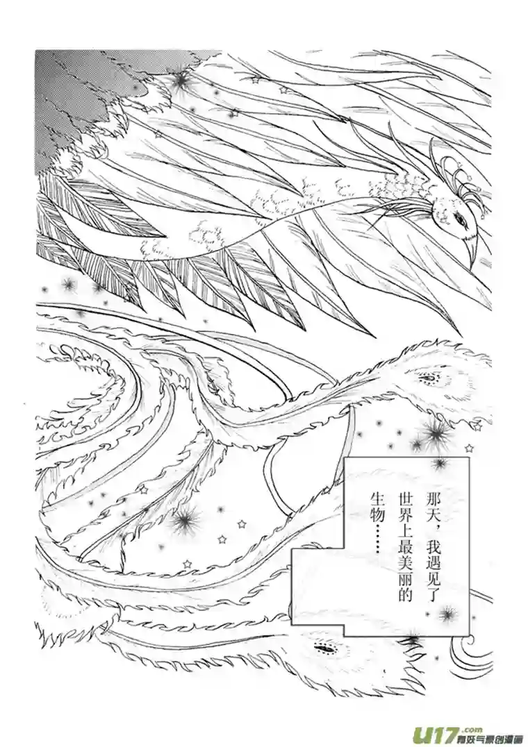 凤弄第一章 第一节