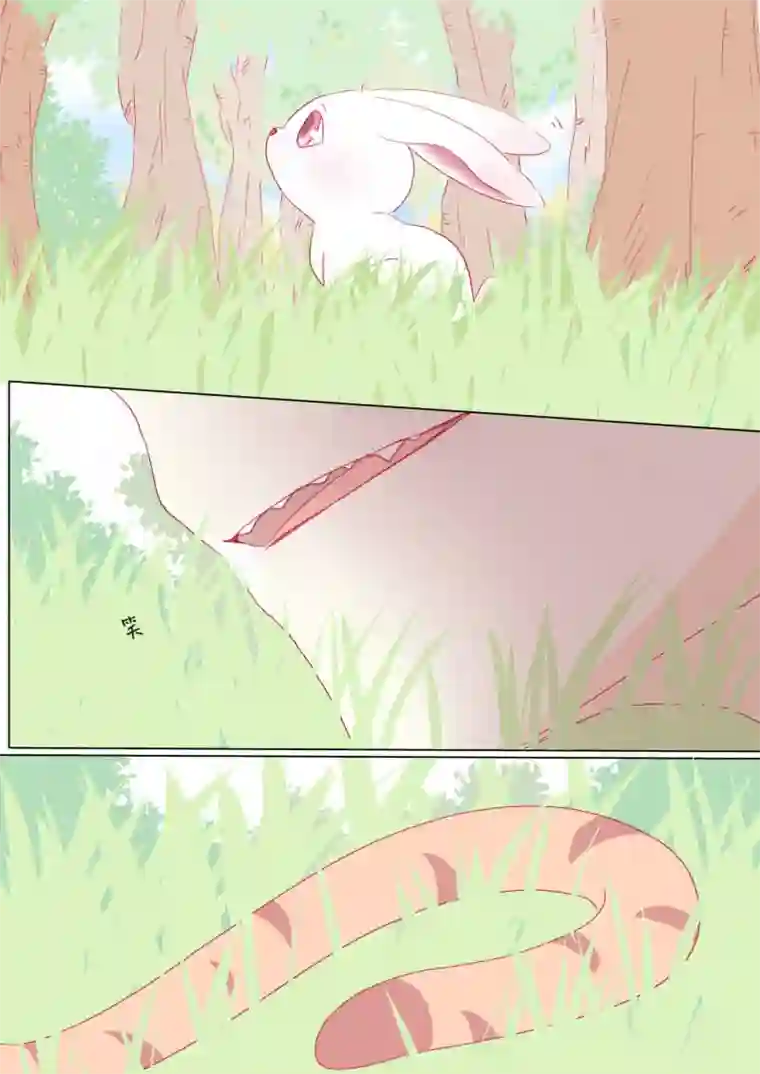 轻倾君声番外篇