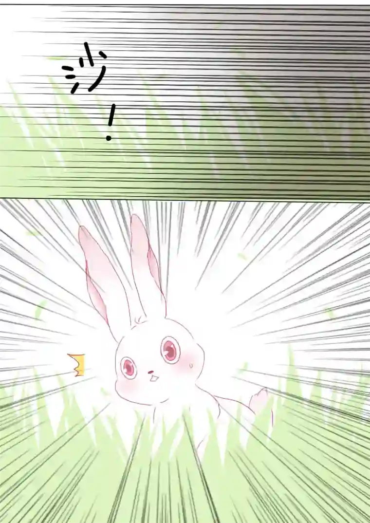 轻倾君声番外篇