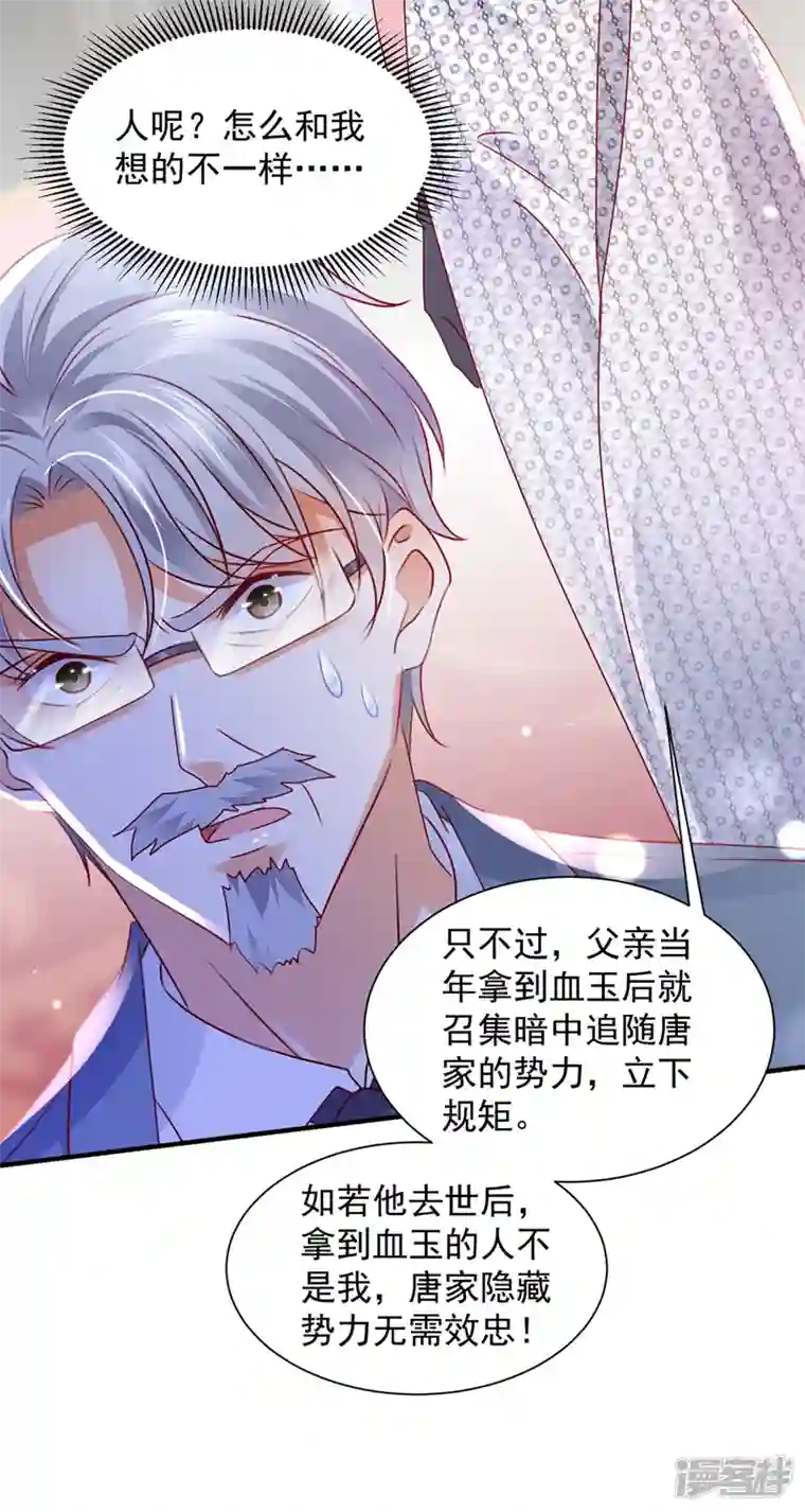 豪门天价前妻第731话 让唐家给我陪葬！