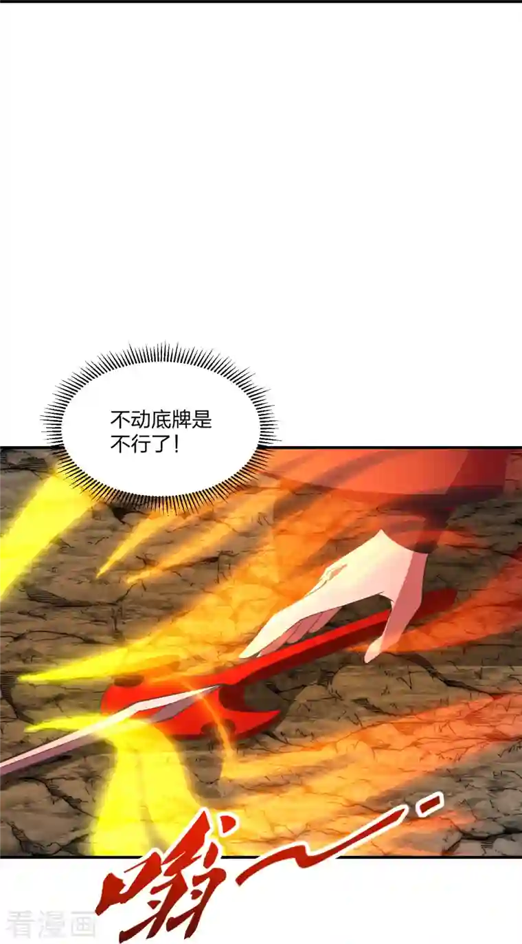 仙武帝尊第267话 天雷助战！