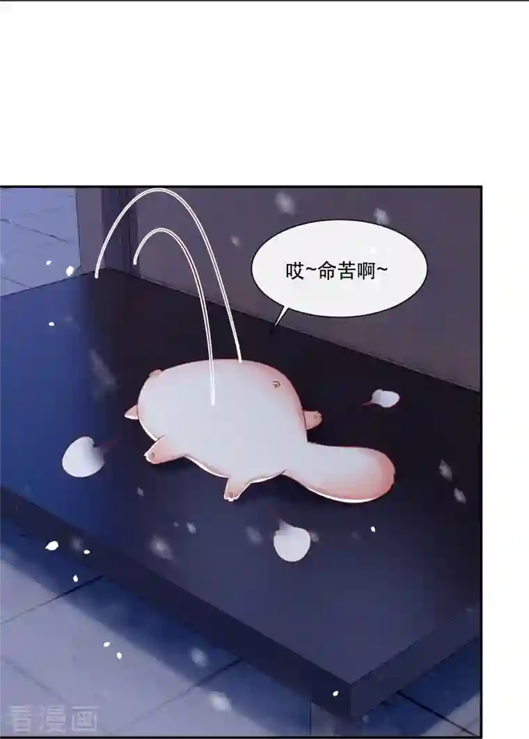 这个王妃路子野第125话 求婚昭告六界！