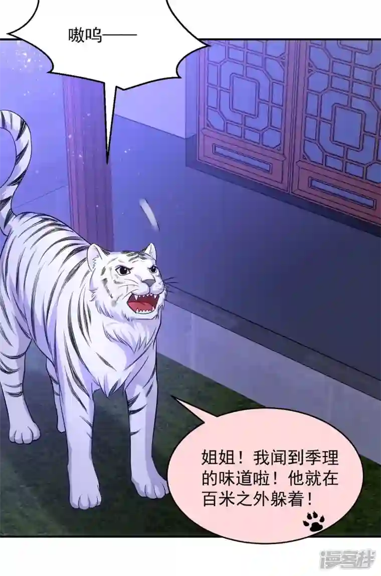 萌虎重生：将军大人要抱抱第81话 白轻音，别输了