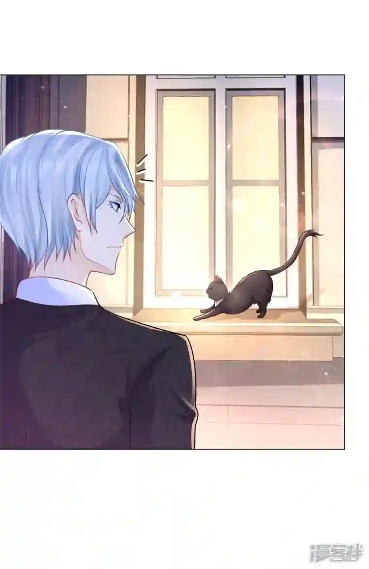 想成为废柴的公爵小姐第165话 猫猫军团