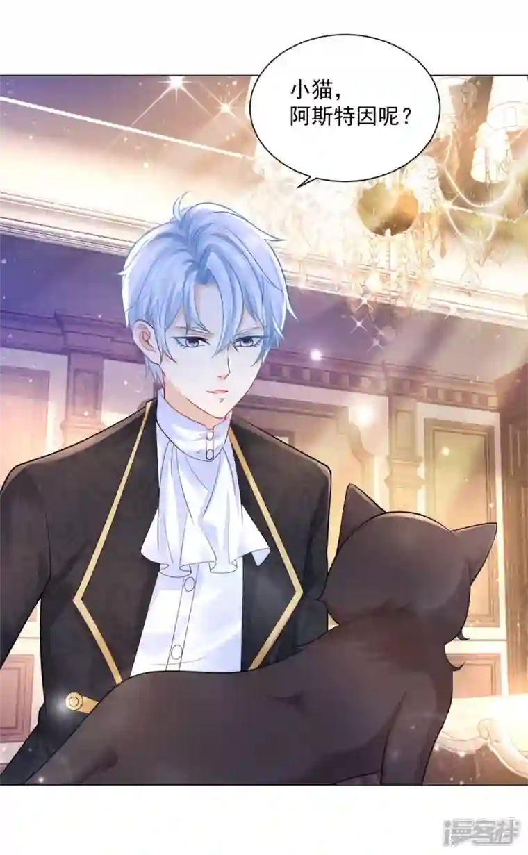 想成为废柴的公爵小姐第165话 猫猫军团