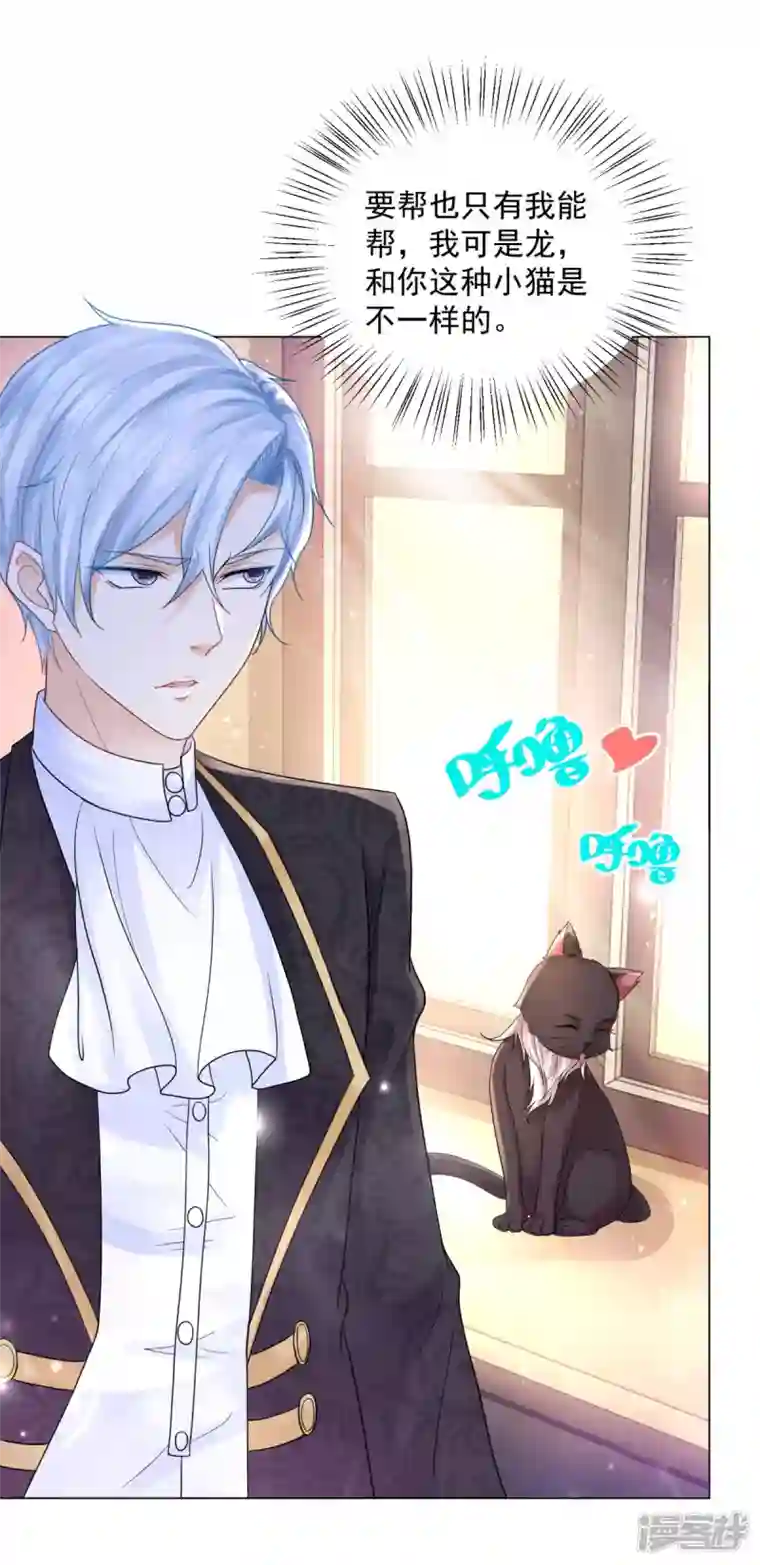 想成为废柴的公爵小姐第165话 猫猫军团