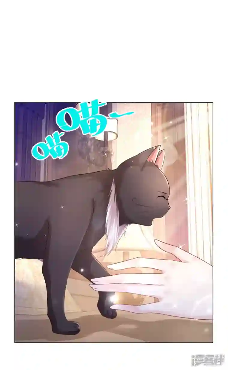 想成为废柴的公爵小姐第165话 猫猫军团