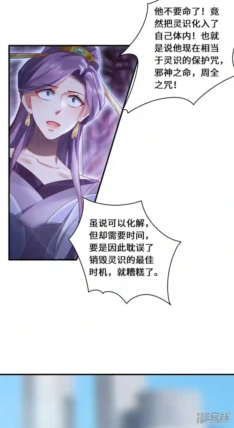 吾本是猫第42话 唯一的幸存者