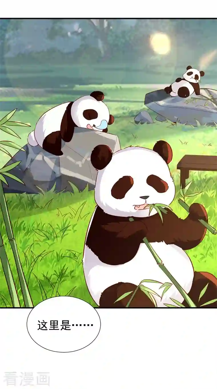 天降萌宝小熊猫：萌妃来袭现代篇最终话 永不分离