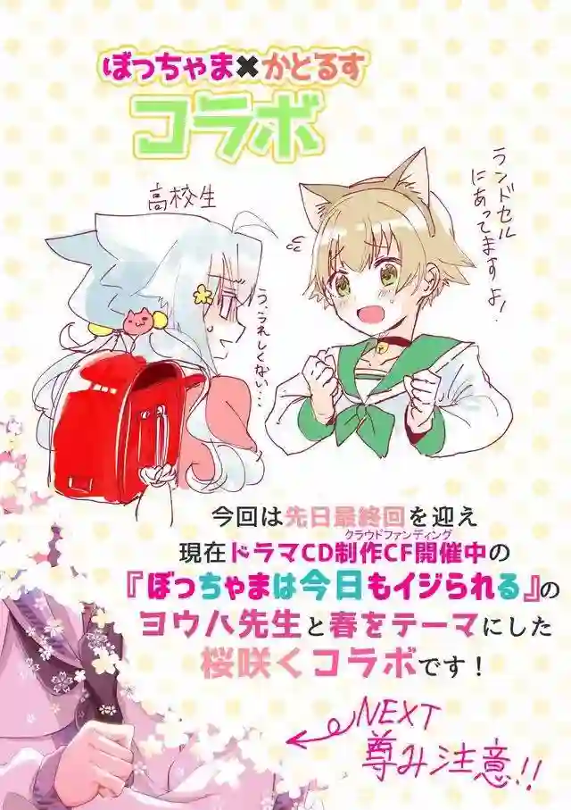 猫娘症候群第58话