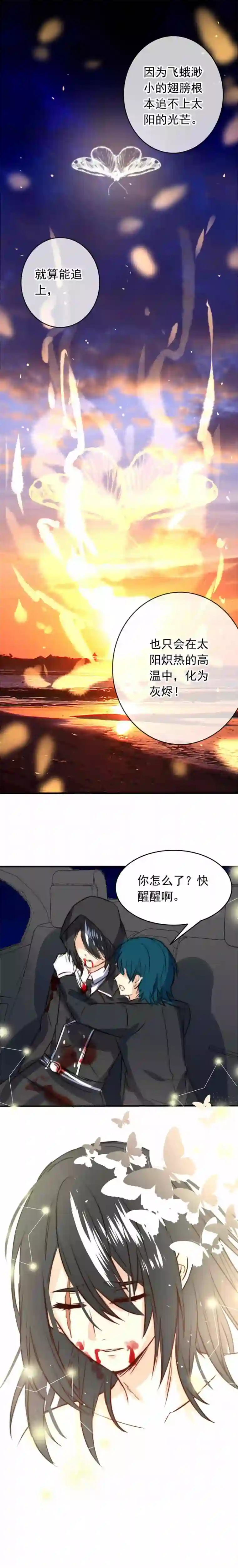 我愿为你献上黎明蛾