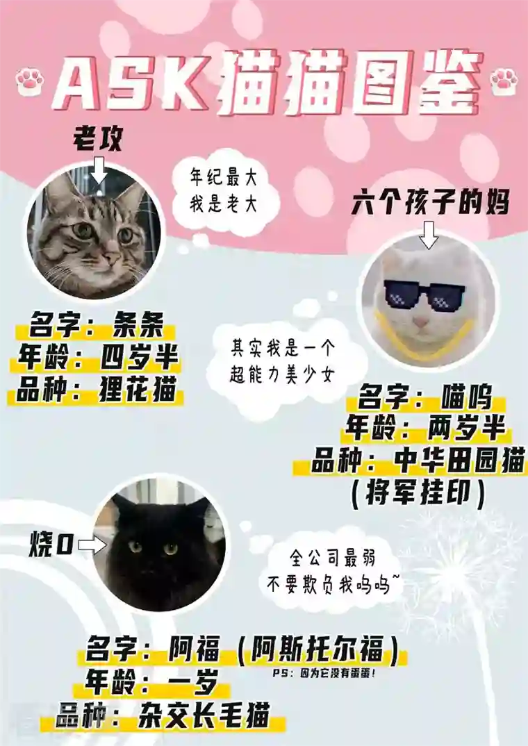 最后的召唤师第二季第14话10 娜达的游戏