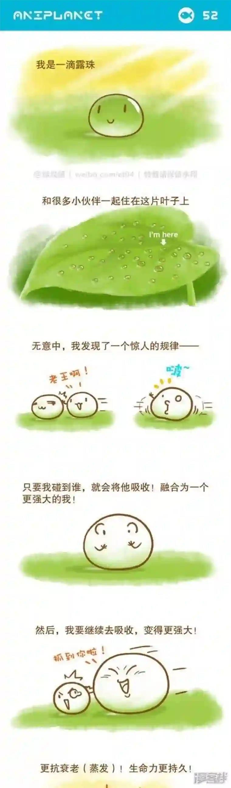 萌物星球第59话