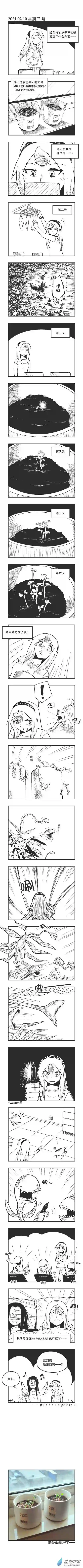 乌贼ichabod日更计划0036 盆栽