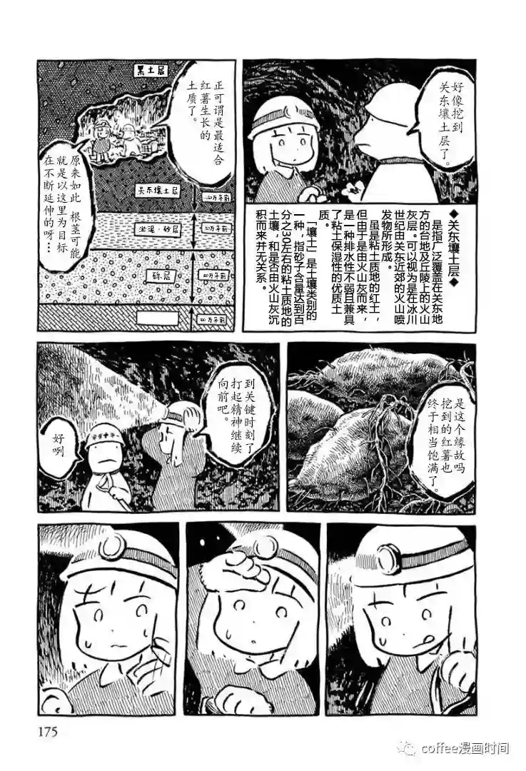 红薯藤仙境短篇