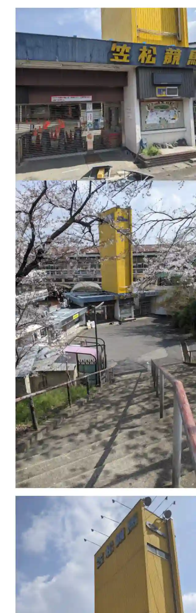 赛马娘：芦毛灰姑娘第08话