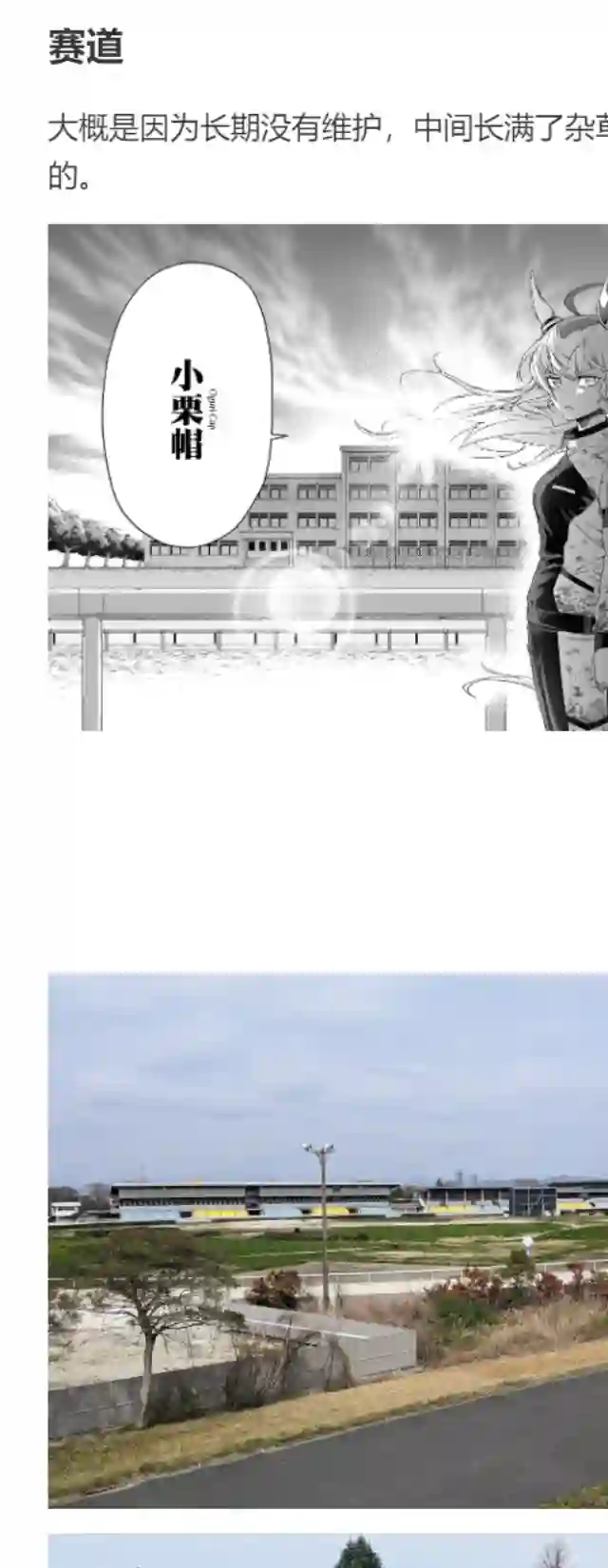 赛马娘：芦毛灰姑娘第08话