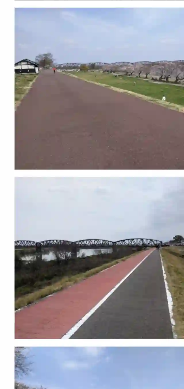 赛马娘：芦毛灰姑娘第08话