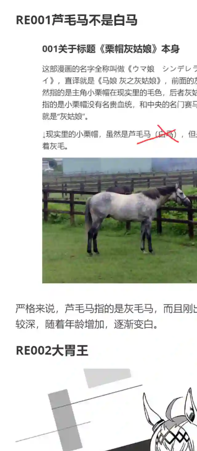 赛马娘：芦毛灰姑娘第17话