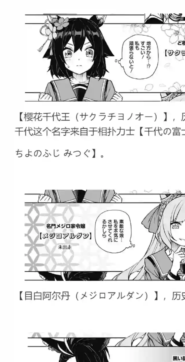 赛马娘：芦毛灰姑娘第17话